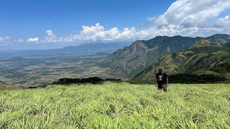 lemon grass vally view point